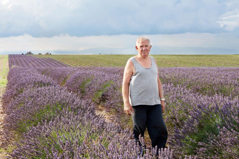Lavender Farmer