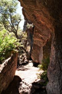 Bear Gulch Trail