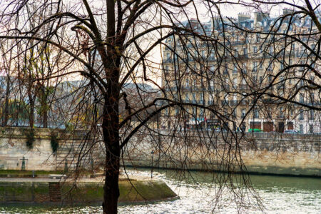 Place Louis-Aragon from Quai de l'Hôtel de ville. Leafless trees offer a view you can't see the rest of the year.
