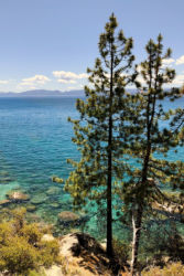 JUNE - Camping trip to Hope Valley and a drive around Lake Tahoe. Tahoe was super crowded and we didn't get out of the car until we found an empty turn out