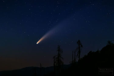 JULY - Comet Neowise! A much needed break and distraction, Neowise was a welcome sight in July. Photographed from my back yard.