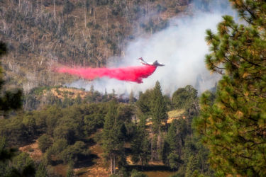 SEP - A few tense hours as a fire broke out on the other side of our little valley. Sadly not a first, and definitely not nostalgic.